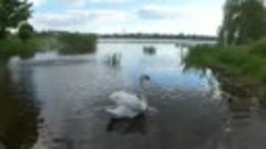 &quot;Город пяти озёр&quot; -  песня о белорусском городе Глубокое