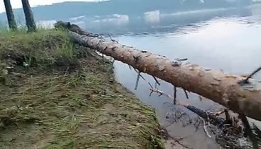 Последствия наводнения в Амурской области. Река Зея.