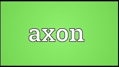 Axon Meaning