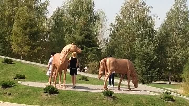 Осенний , праздничный день в парке Первого Президента РК 18.09.16.