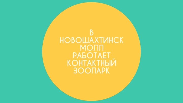 В ТРЦ "НОВОШАХТИНСК МОЛЛ" работает контактный зоопарк! При ...