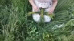 МК славянская травяная кукла оберег Лялька