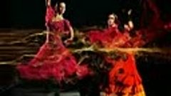 Фламенко Тамбов (Flamenco Tambov)_mpeg4