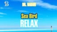 Dr. Badan - Sea bird I ИЗ АЛЬБОМА I Sea bird 2021