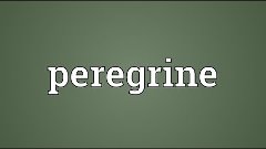 Peregrine Meaning