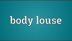 Body louse Meaning