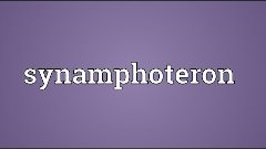 Synamphoteron Meaning