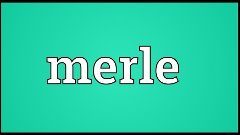 Merle Meaning