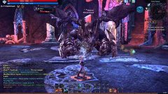 Tera online/Прохождение первого босса/kill boss