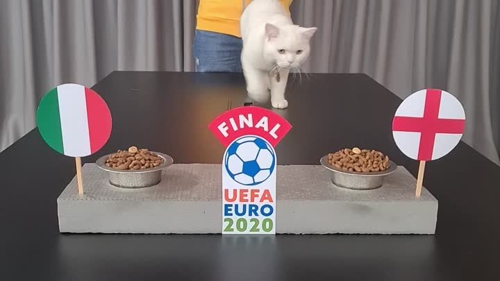 UEFA Final
