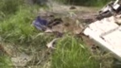 Крушение самолета в Хабаровском крае