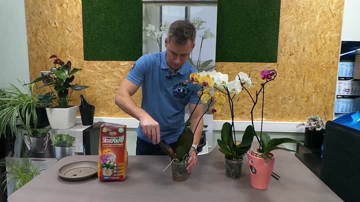 Грунт для орхидей «Цеофлора» 2,5 литра