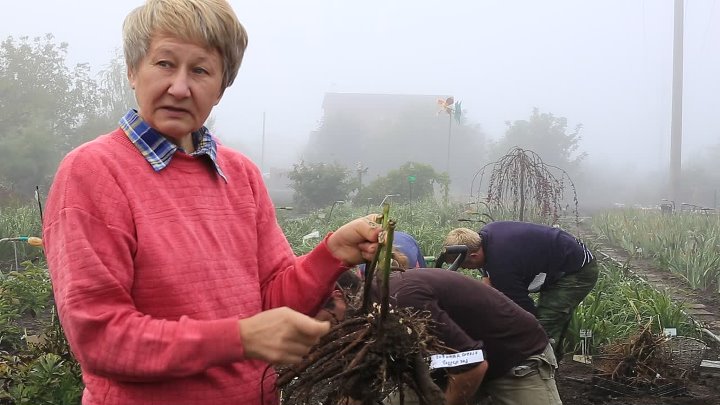 Интернет Магазин Цветок Славянск На Кубани Ворошилова