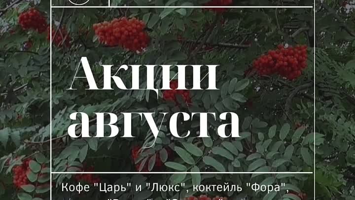 Акции августа