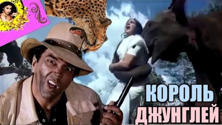 Король джунглей фото Король джунглей фото