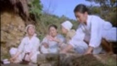 Mulberry (Ppong) 뽕(1985)