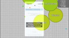 Играем и Страдаем в AGARIO!!!