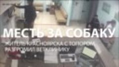 Житель Красноярска разнес ветклинику топором после известия ...