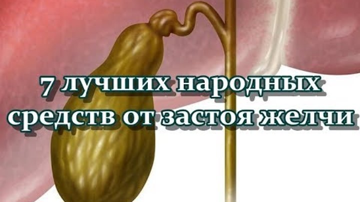 Лечение застоя желчного пузыря препараты. Препараты для разжижения желчи. Лекарство от застоя желчи в желчном пузыре. Желчегонное народное средство при застое желчи. Лекарство от застоя желчи в желчном пузыре народные средства.