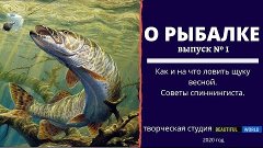 Как и на что ловить щуку весной.  Советы спиннингиста. О РЫБ...