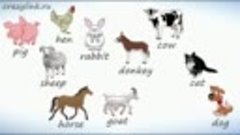Домашние животные на английском. ВИДЕОТРЕНАЖЕР