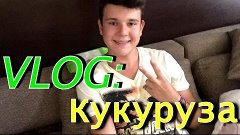 VLOG: КУКУРУЗА / Max Prykhodko