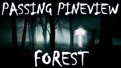 Атмосферная тусовка в лесу (passing pineview forest)