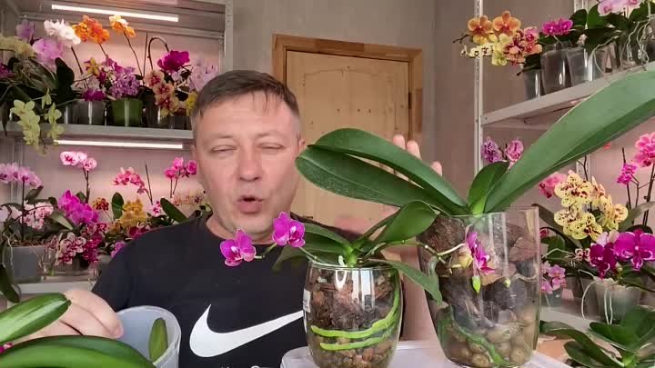 Горшки убийцы орхидей! Корни орхидей в них задыхаются