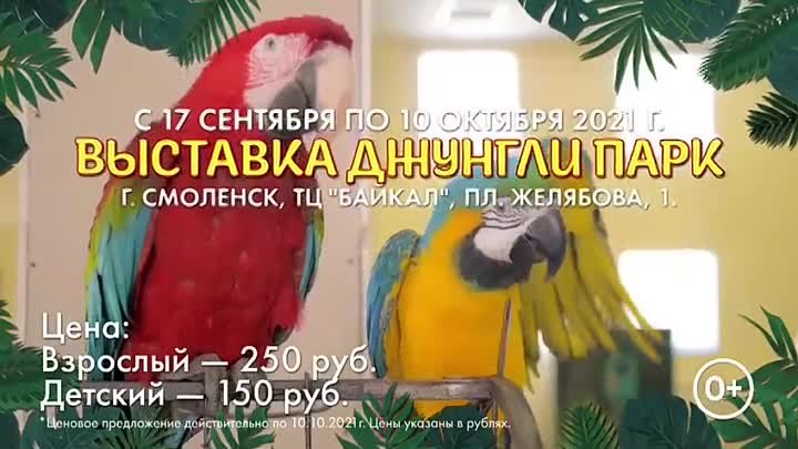 Новости в ТЦ Байкал Смоленск