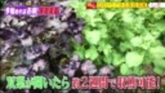 ソクラテスのため息 200603