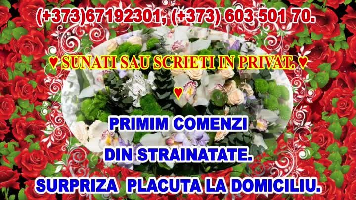 (+373)67192301, (+373) 603 501 70.     ♥ SUNATI SAU SCRIETI IN PRIVA ...