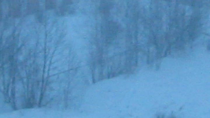 22 ноября 2021 г. Амурск- а  у нас снова снегопад
