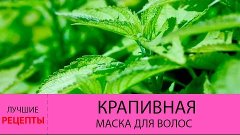 Крапивная маска для волос. ЛУЧШИЕ рецепты крапивных масок дл...