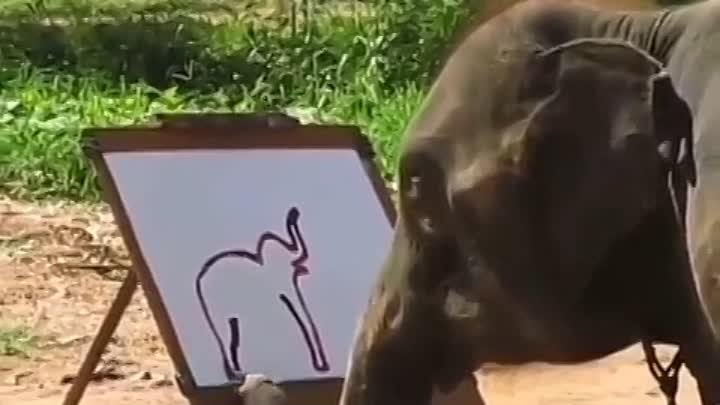 Слон=художник