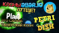 Petri Dish- Клон Agar.io| Самый  крутой клон?