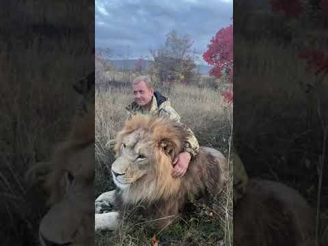 Максим яковлев тайган фото Максим яковлев тайган фото