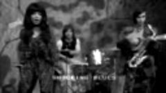 Shocking Blue - Navajo Tears