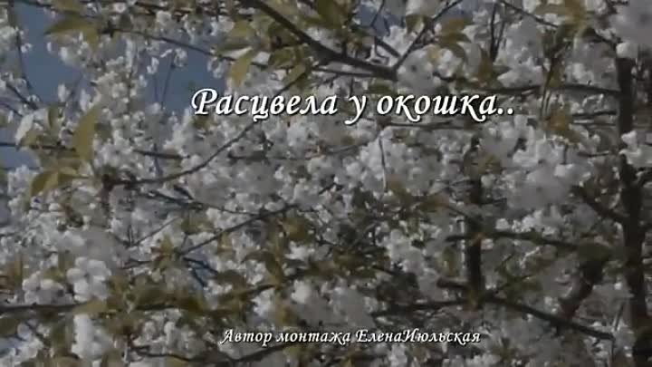 РАСЦВЕЛА У ОКОШКА - Задушевные советские песни