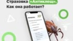 Страховка Антиклещ