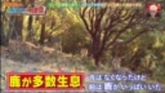 ポツンと一軒家 動画　2021年10月3日 - お笑い動画チャンネル Miomio.info