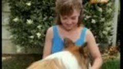 Новые приключения Лэсси (сериал) [The New Lassie] (1989) (27...