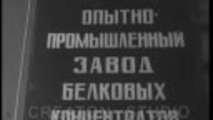 Мурманск. Крабовые палочки. Вторая половина 80-х