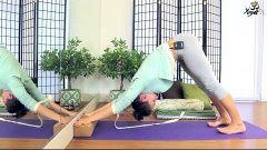 Downward Dog - Three Downward Dog Yoga Poses with Props, for...