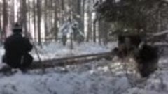 Осиротевший медвежонок впервые видит снег и радость ее абсол...