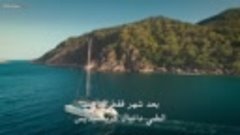 [Emotionvideo.Tv].فيلم Rogue Shark- 2021 مترجم اون لاين - شا...