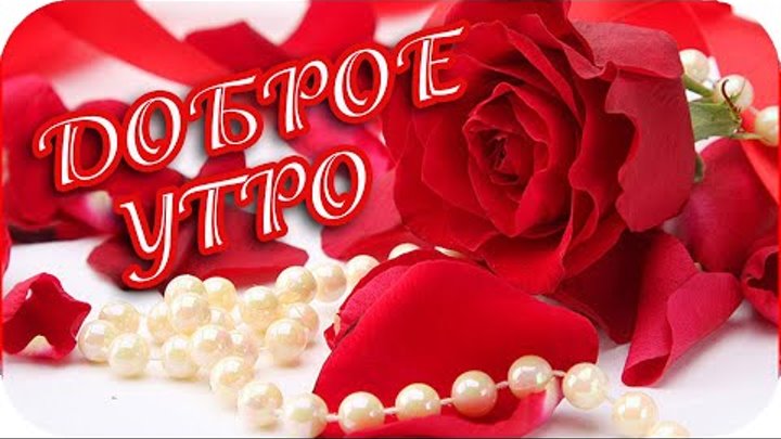 Доброе утро! ❤️Пусть счастье нежно согревает!❤️Good morning! ❤️