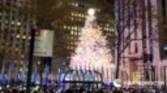 Главная рождественская ель Нью-Йорка зажглась в Рокфеллер-це...