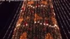 В центре Сочи протестировали новогоднюю подсветку на 23-метр...