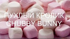 Пухлый кролик - Chubby bunny (челендж)