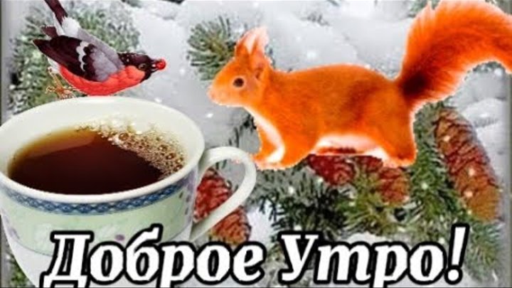 Утро 19 января